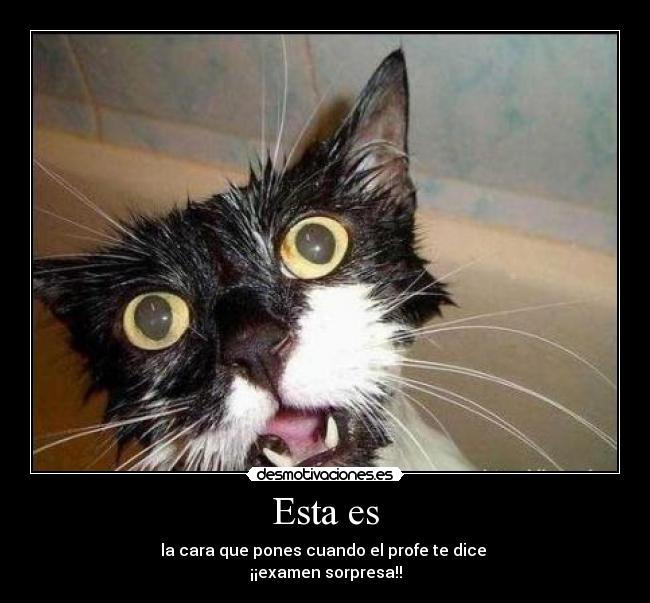 Esta es - la cara que pones cuando el profe te dice
¡¡examen sorpresa!!