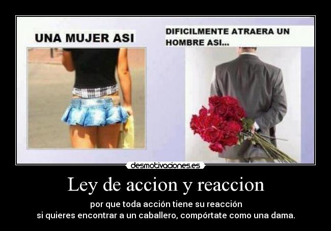Ley de accion y reaccion -