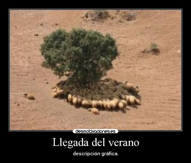 Llegada del verano - 