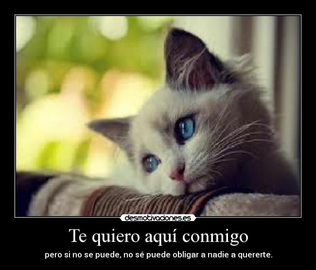 Te quiero aquí conmigo -