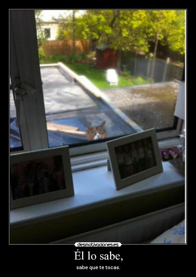 Él lo sabe, - sabe que te tocas.