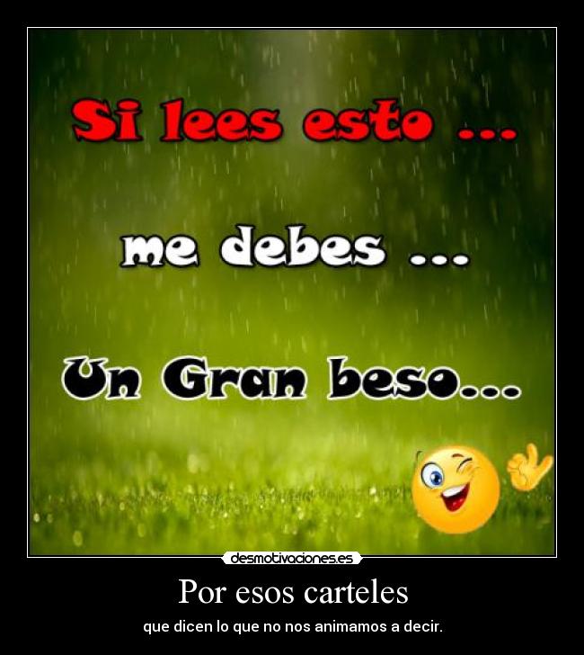 Por esos carteles - que dicen lo que no nos animamos a decir.