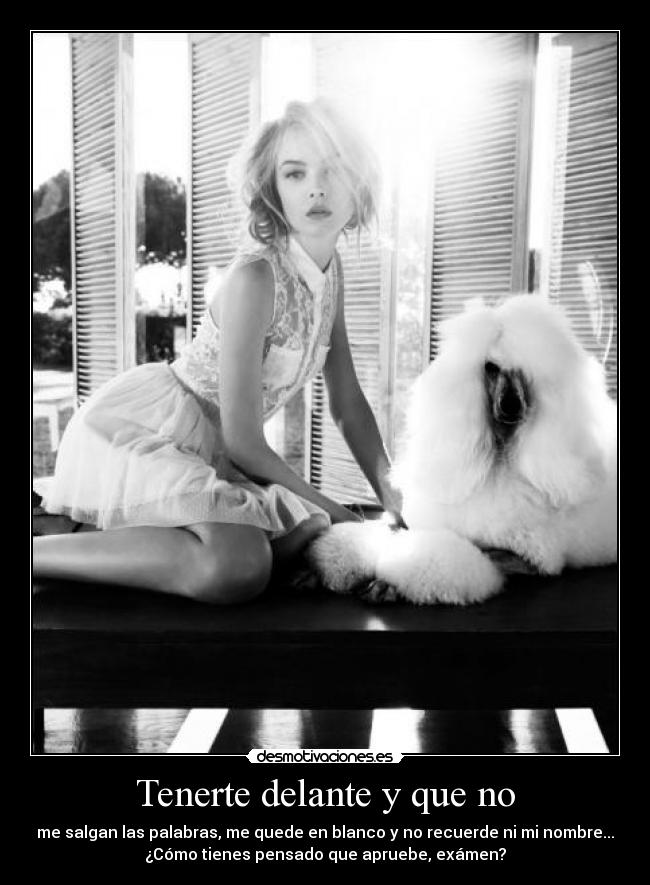 Tenerte delante y que no - me salgan las palabras, me quede en blanco y no recuerde ni mi nombre...
¿Cómo tienes pensado que apruebe, exámen?