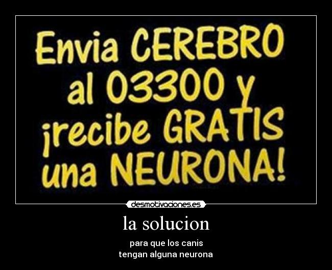 la solucion - para que los canis
tengan alguna neurona