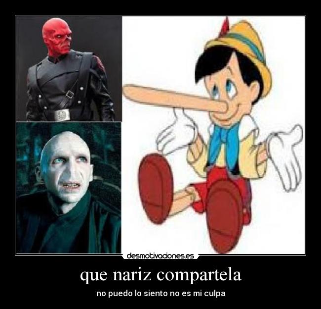 que nariz compartela - no puedo lo siento no es mi culpa