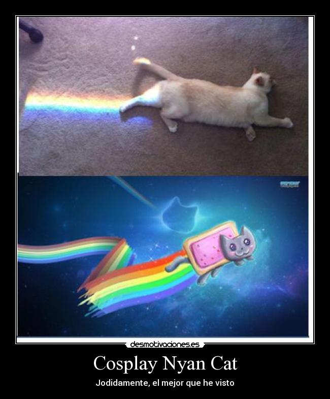 Cosplay Nyan Cat - Jodidamente, el mejor que he visto