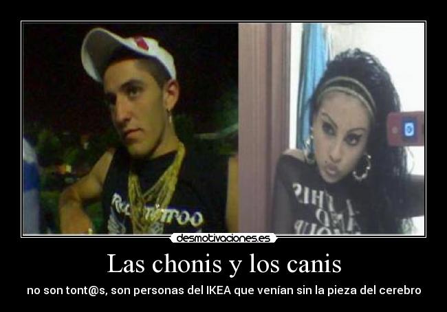 Las chonis y los canis - 