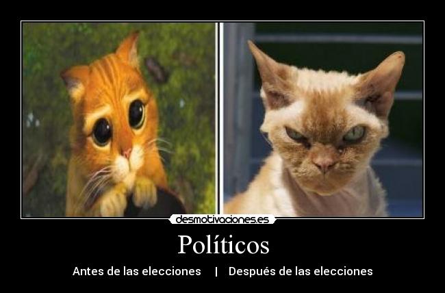Políticos -