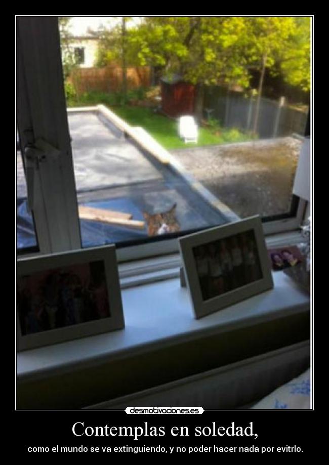 carteles soledad jack desmotivaciones