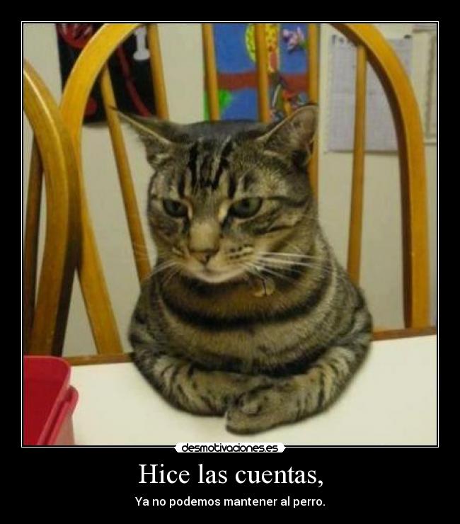 carteles lol gato desmotivaciones