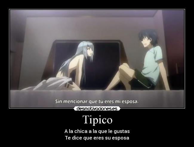 Tipico - 