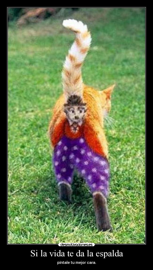 Si la vida te da la espalda - píntale tu mejor cara.