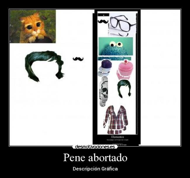 Pene abortado - Descripción Gráfica