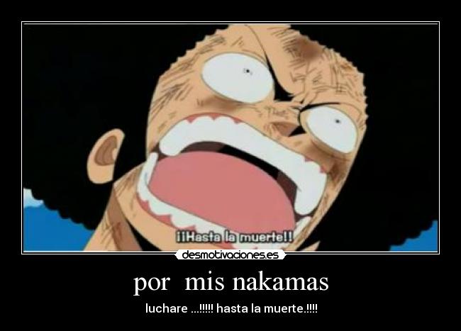 por  mis nakamas - luchare ...!!!!! hasta la muerte.!!!!