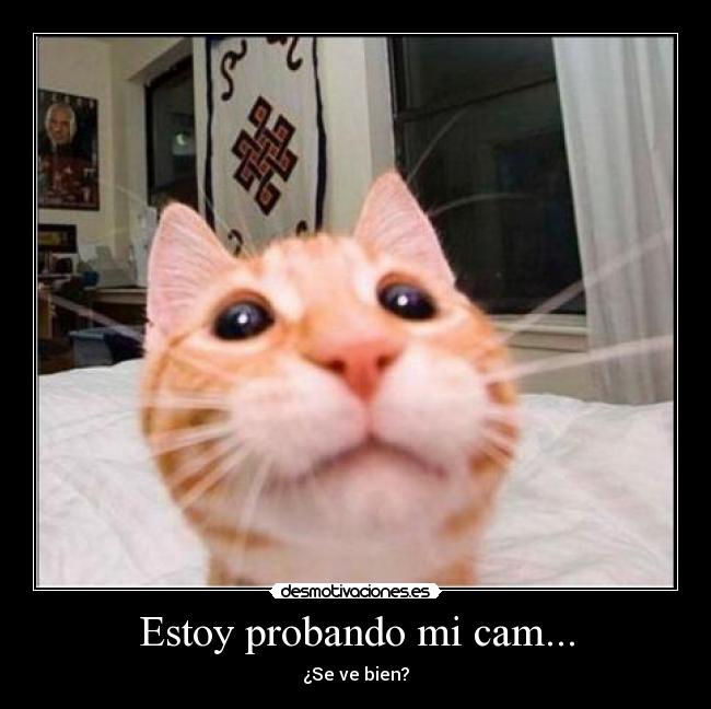 Estoy probando mi cam... - ¿Se ve bien?