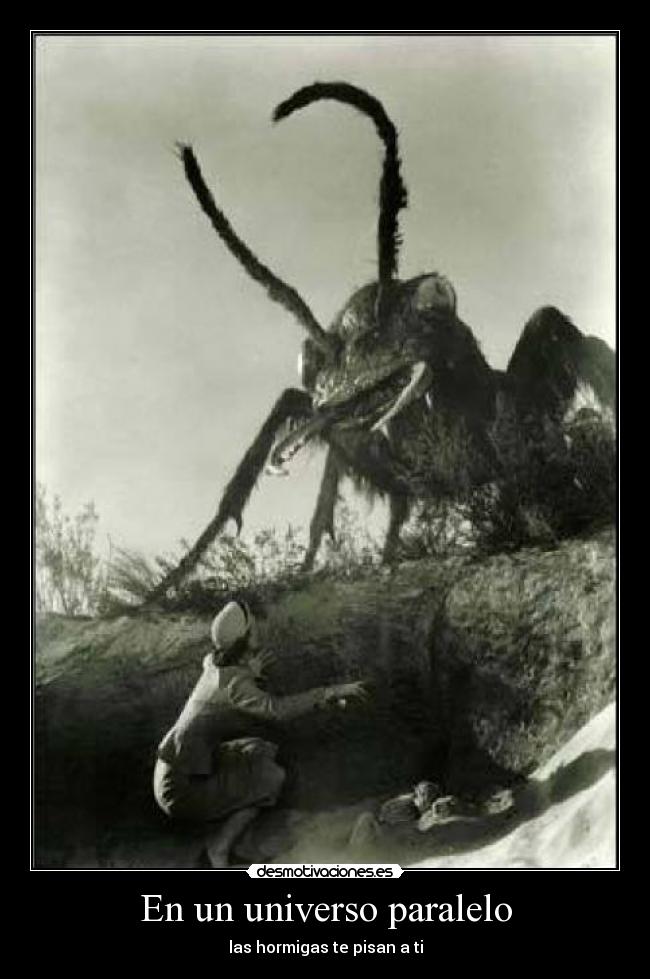 carteles njh desmotivaciones