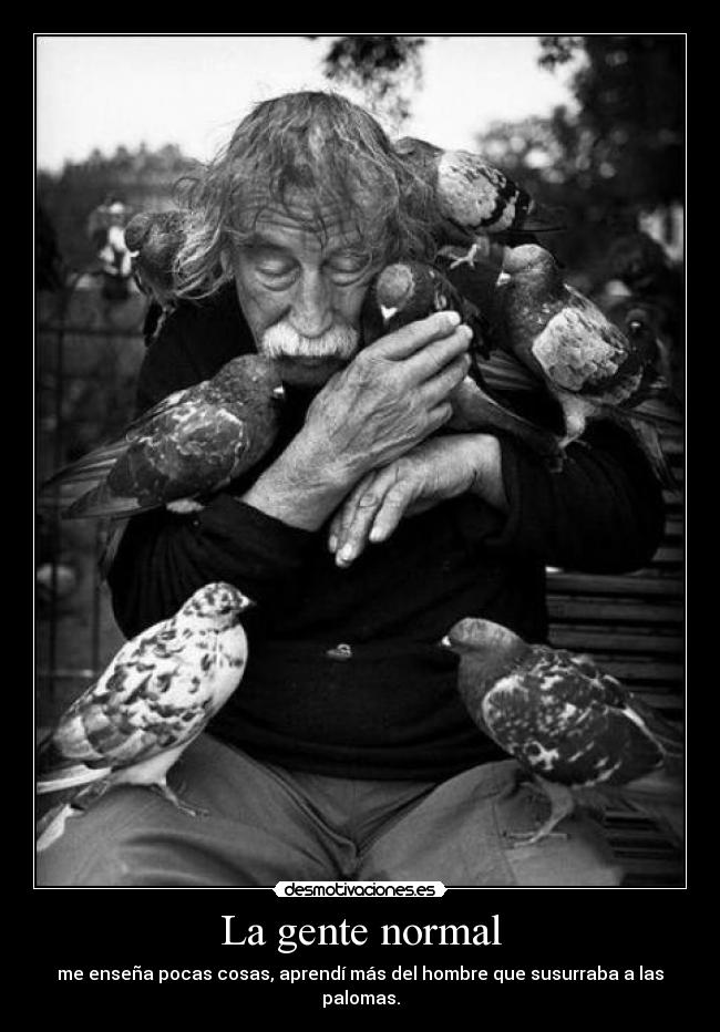 La gente normal - me enseña pocas cosas, aprendí más del hombre que susurraba a las palomas.