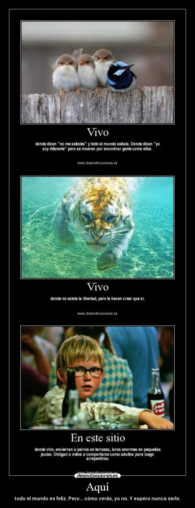 Aquí - todo el mundo es feliz. Pero... cómo verás, yo no. Y espero nunca serlo.