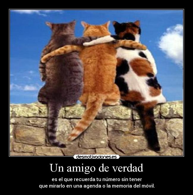 Un amigo de verdad - es el que recuerda tu número sin tener
que mirarlo en una agenda o la memoria del móvil.