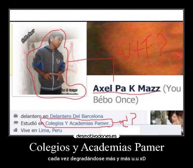 Colegios y Academias Pamer -