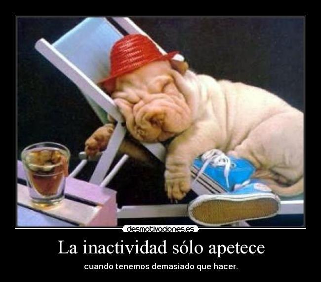 La inactividad sólo apetece - cuando tenemos demasiado que hacer.
