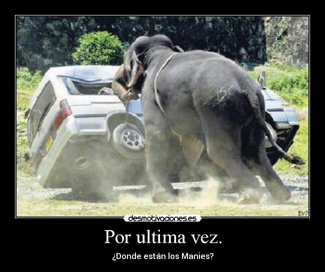 Por ultima vez. - ¿Donde están los Manies?