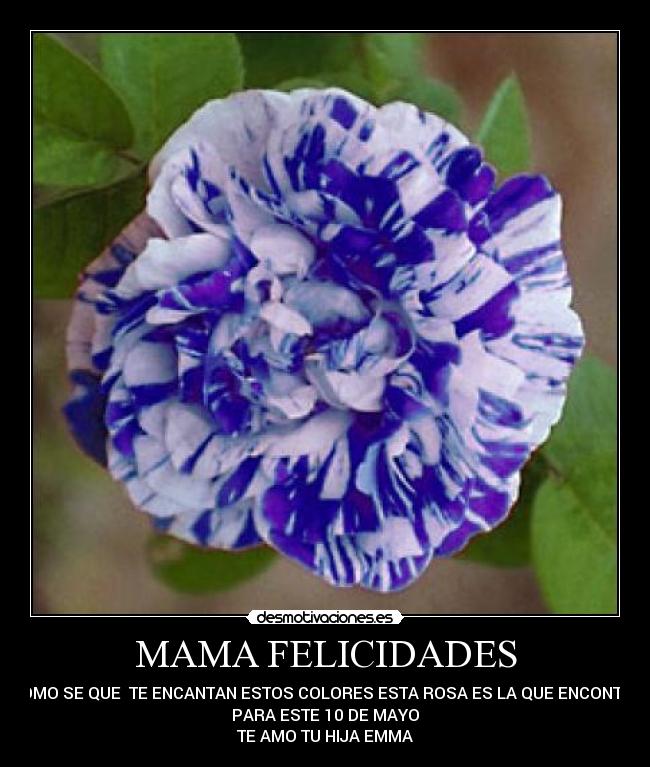 carteles dia mama desmotivaciones