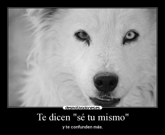Te dicen sé tu mismo - y te confunden más.