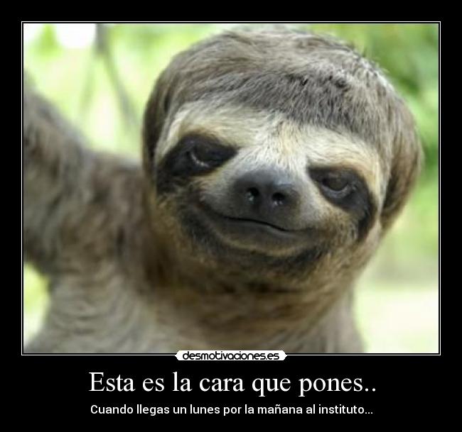 Esta es la cara que pones.. - 