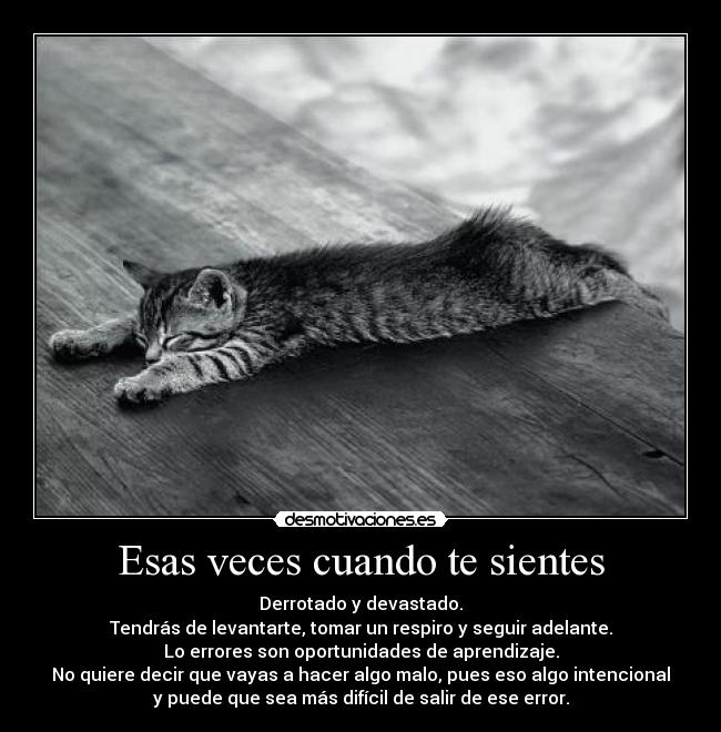 carteles errores toma mejor decision desmotivaciones