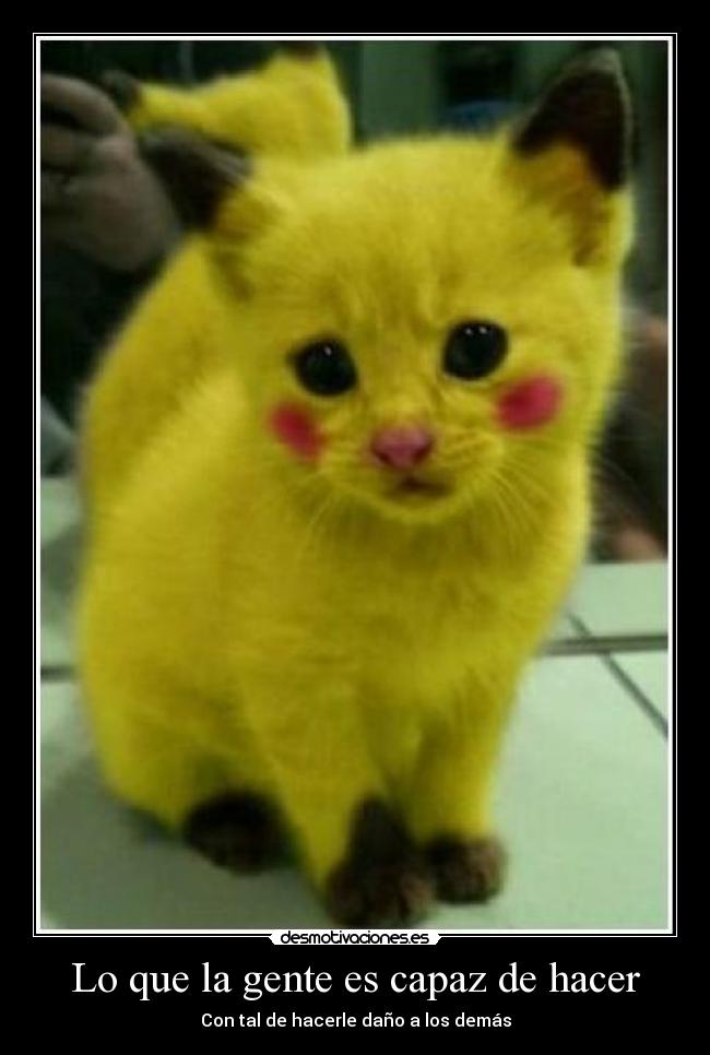 Lo que la gente es capaz de hacer - Con tal de hacerle daño a los demás