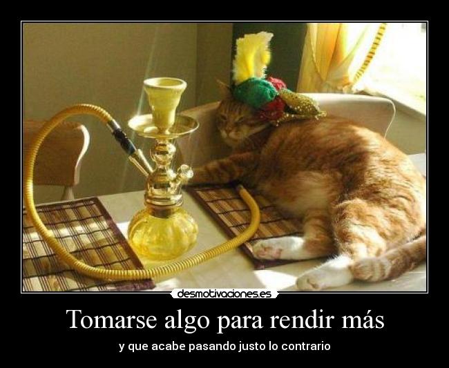 carteles siento fue dedo borre sin querer sorry xddd desmotivaciones