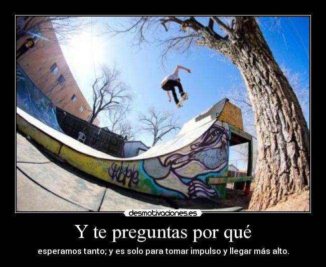 Y te preguntas por qué - esperamos tanto; y es solo para tomar impulso y llegar más alto.