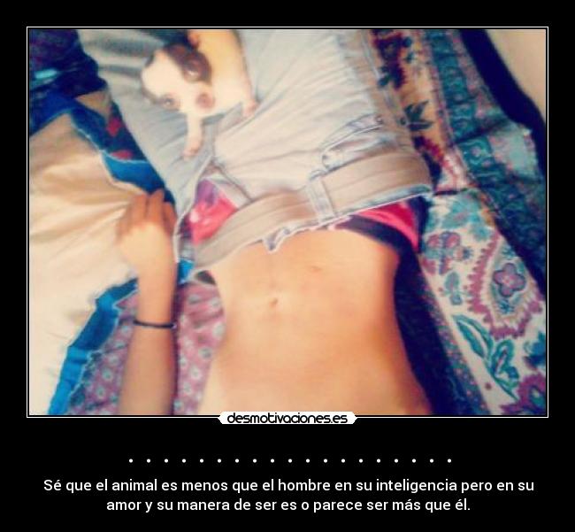 . . . . . . . . . . . . . . . . . . . - Sé que el animal es menos que el hombre en su inteligencia pero en su
amor y su manera de ser es o parece ser más que él.