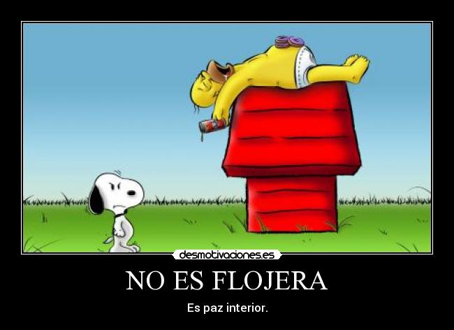 NO ES FLOJERA -