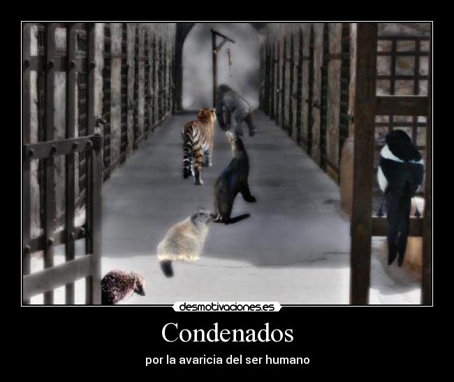 Condenados - por la avaricia del ser humano