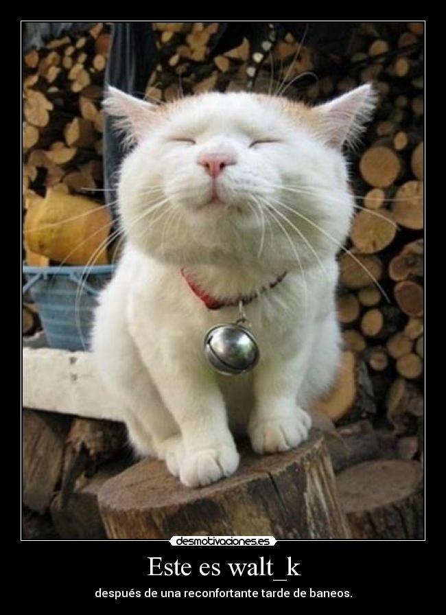 carteles lacuna youngwildfree lastima que ads tiene personaje caracteristico desmotivaciones