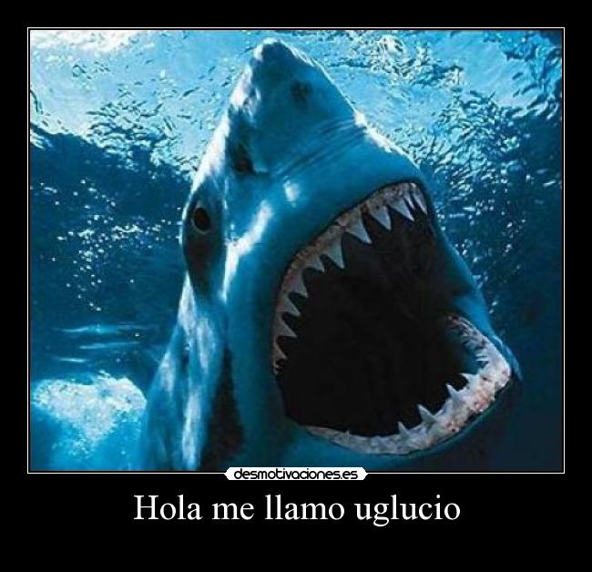 Hola me llamo uglucio -