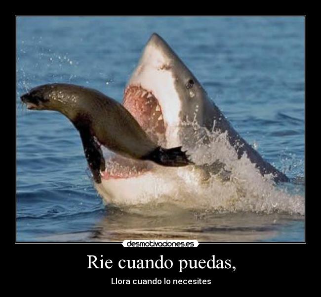 Rie cuando puedas, - Llora cuando lo necesites