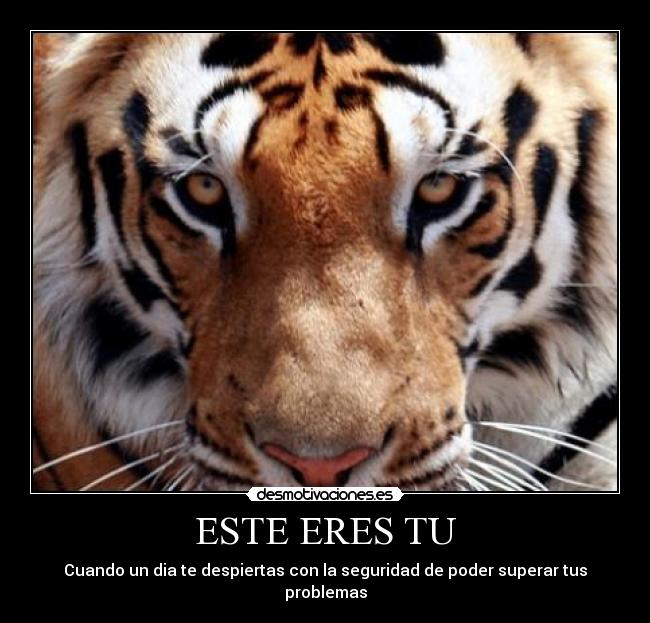 ESTE ERES TU - Cuando un dia te despiertas con la seguridad de poder superar tus problemas
