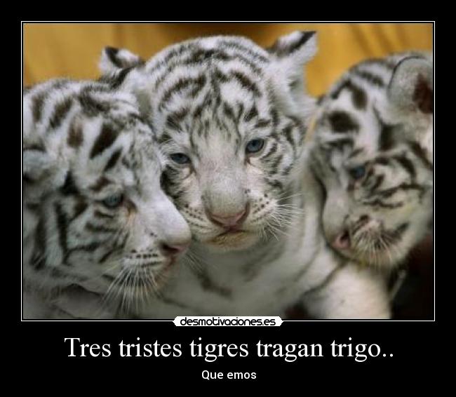 Lista 93+ Foto Trabalenguas De Los Tres Tristes Tigres Cena Hermosa 09/2023 Lista 93+ Foto Trabalenguas De Los Tres Tristes Tigres Cena Hermosa 09/2023