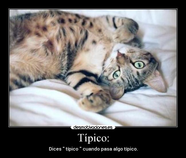 Típico: - Dices típico cuando pasa algo típico.