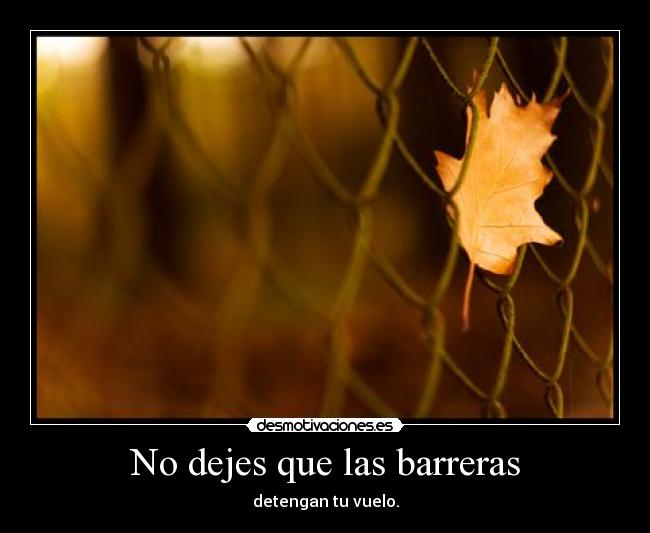 No dejes que las barreras - detengan tu vuelo.