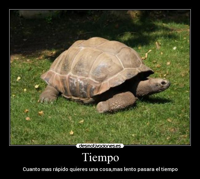 Tiempo - Cuanto mas rápido quieres una cosa,mas lento pasara el tiempo