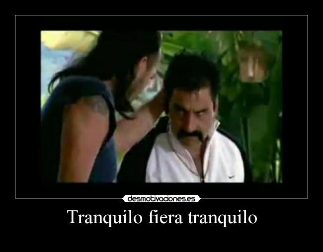 Tranquilo fiera tranquilo -