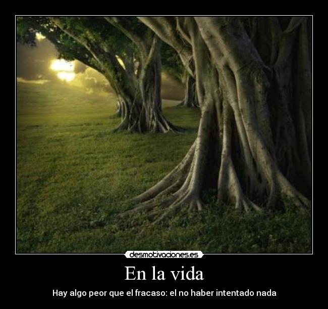 En la vida - 