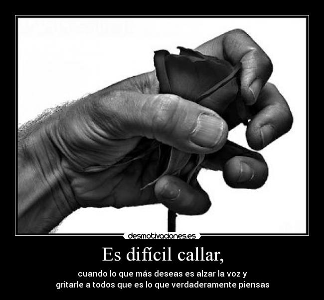 carteles anaa197 veces solo podemos mordernos lengua pero cuesta desmotivaciones