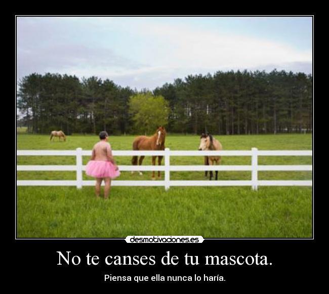 No te canses de tu mascota. - Piensa que ella nunca lo haría.