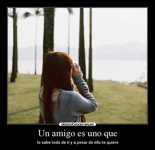Un amigo es uno que - lo sabe todo de ti y a pesar de ello te quiere
