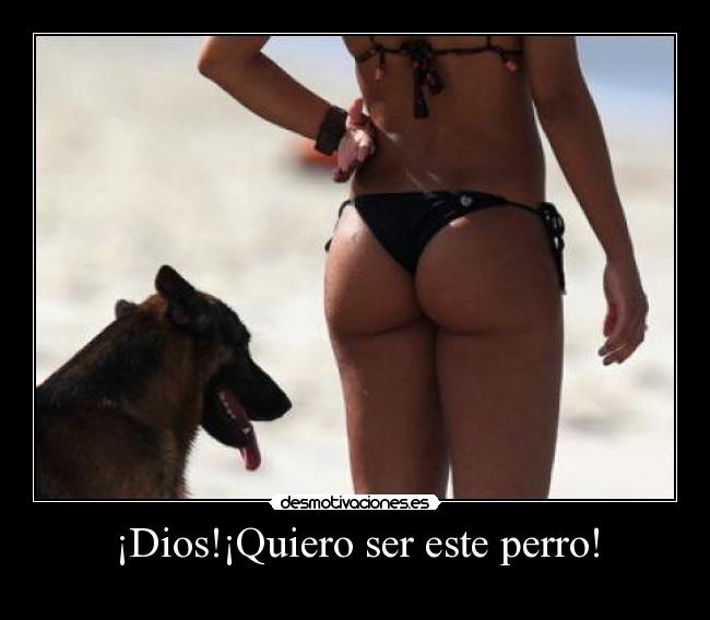 ¡Dios!¡Quiero ser este perro! -